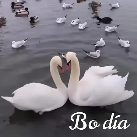 As Barxas Playa